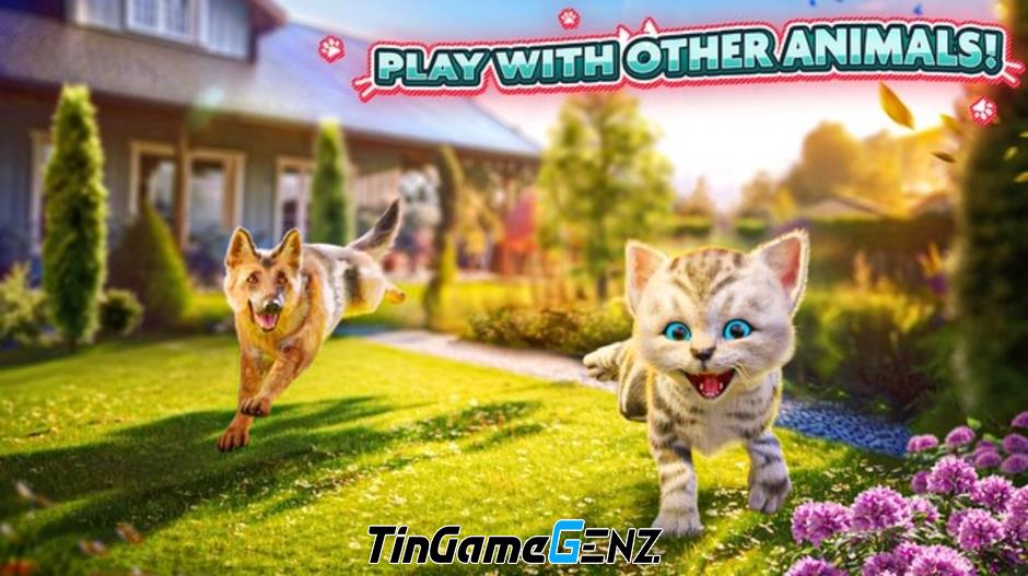 Chơi game Cat Simulator 2 và trở thành mèo hoàng thượng 
